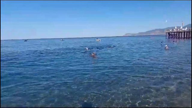 Турция город Алания сегодня Море 12 09 2023 Türkiye city Alanya today Sea 09122023 смотреть онлайн