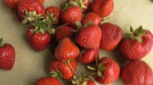 МОСКОВА. Сладкая клубника с ярким ароматом лесной земляники. / Коллекция Светланы Татур.