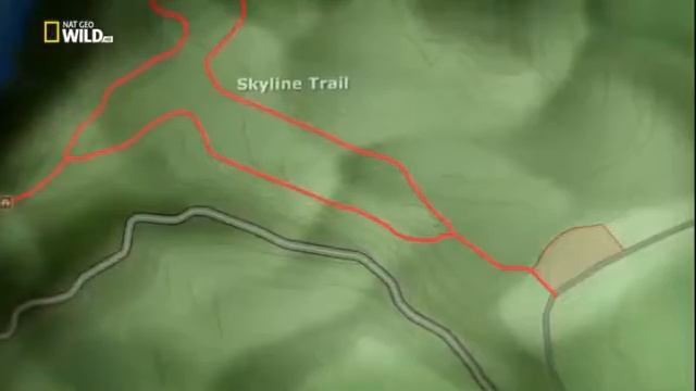 Нападение койотов смотреть онлайн