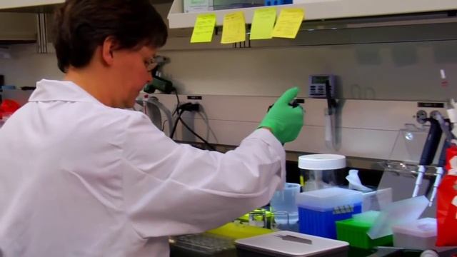 Scientists At Work In Laboratory смотреть онлайн