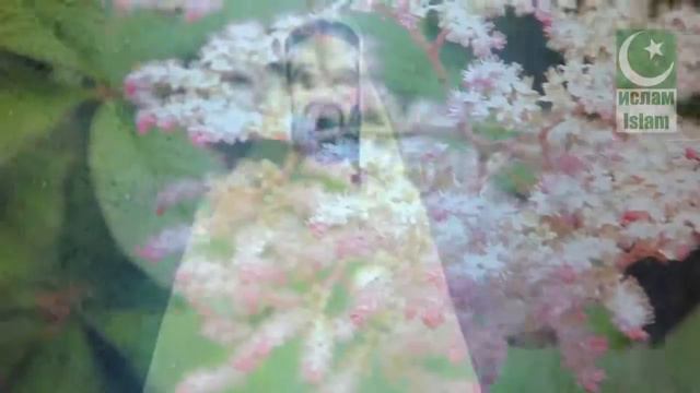 допрос в могиле ислам смотреть онлайн