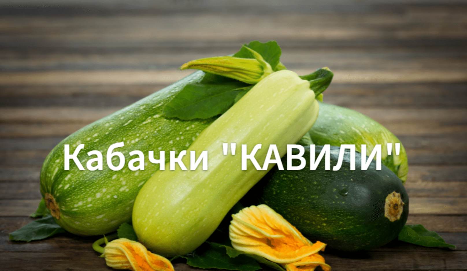 Как сажать кабачки. Выращиваем кабачки на рассаду. Выращиваем кабачки дома.Сорт" Кавили". смотреть онлайн
