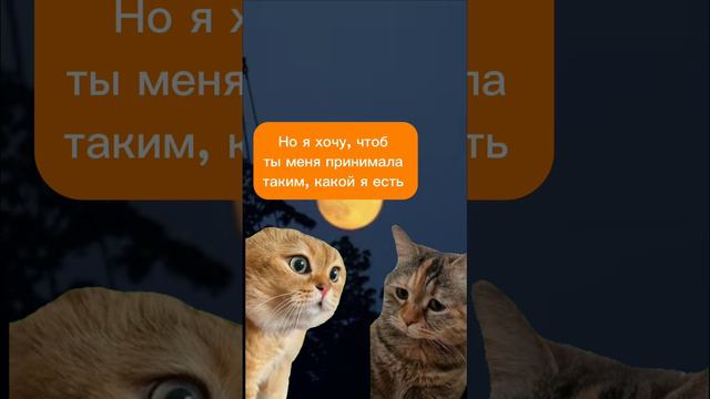 Признание в любви. котики болтают.#юмор #мем смотреть онлайн
