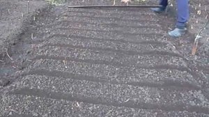 как сделать ровные бороздки для посева семян