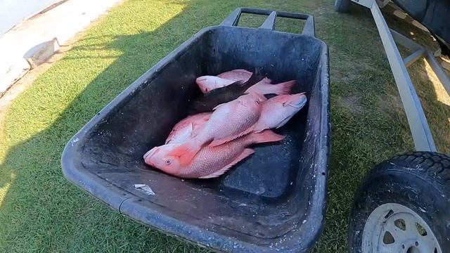 Day in the Life | *Red Snapper* {Catch, Clean + Cook!} смотреть онлайн