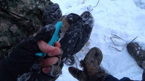 СРАЗУ ЖЕ НАЧАЛИСЬ СРАБОТКИ.РЫБАЛКА НА ЖЕРЛИЦЫ.