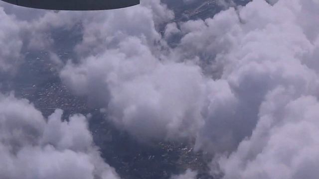 Verbena alucinada - Casa de mundo смотреть онлайн