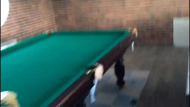 Бильярдный стол Домашний Люкс II 10 футов смотреть онлайн