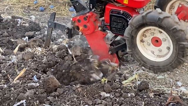 Пошёл по второму кругу//Культивация земли Мотоблок Форте смотреть онлайн