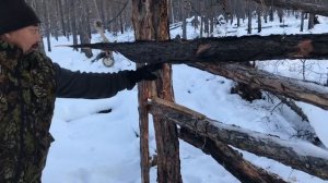 Про кулёмку на соболя охота на соболя2020