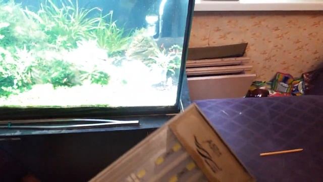 Замена Chihiros A серии на Rgb серию первые впечатления