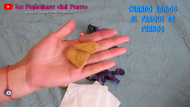 Pañalera ACTUALIZADA de mi Perro, Coton de Tulear I Lorentix