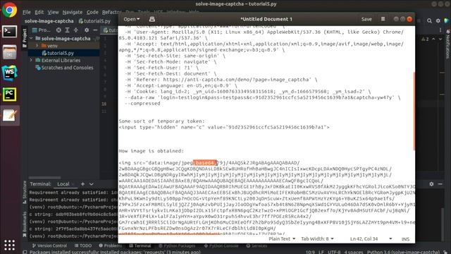 How to bypass form with image captcha using captcha solver service and Python смотреть онлайн