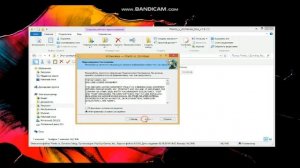 как скачать Plants vs zombies на пк