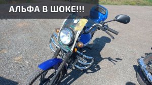 Обтекатель на Альфу 110 своими руками