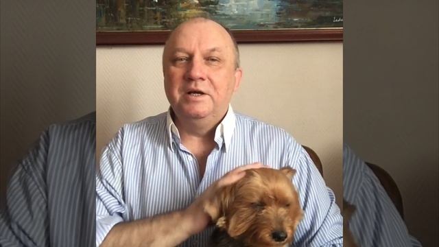 Собаки - последние ангелы на нашей земле...