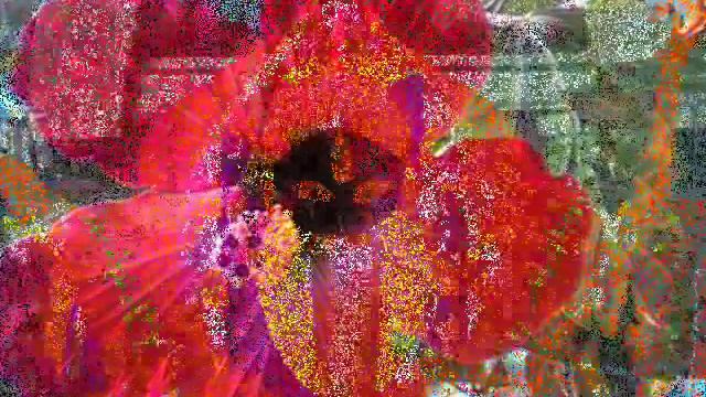 Mayer Paye Joba Hoye. Shyama Sangeet by Kumar Sanu. смотреть онлайн