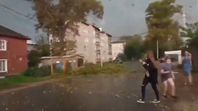 Ветки тополя чуть не упали на группу подростков смотреть онлайн