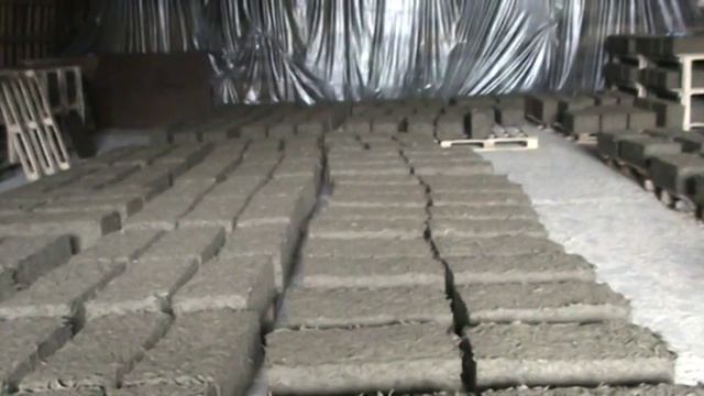 Арболит презентация