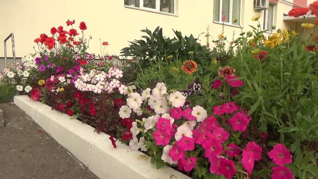 Новости на башкирском языке от 01.08.2024 г. г.Янаул смотреть онлайн