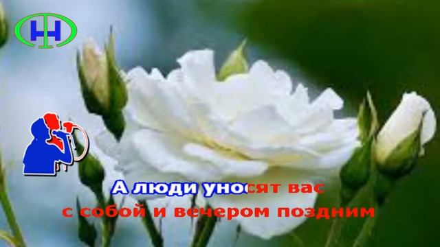 Những bông hồng trắng Iur Satunov, NHAC BEAT Karaoke 2 смотреть онлайн