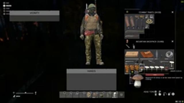 DayZ With the Bois : Saving Private Brian смотреть онлайн