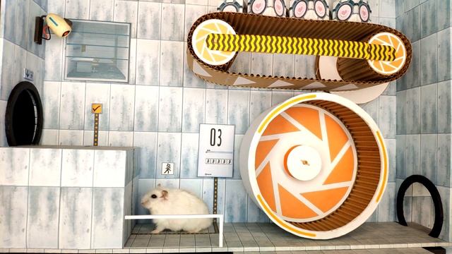 New Game for Hamster ? Maze for Pets ? Portal - Hamsters Challenge in real life ? смотреть онлайн
