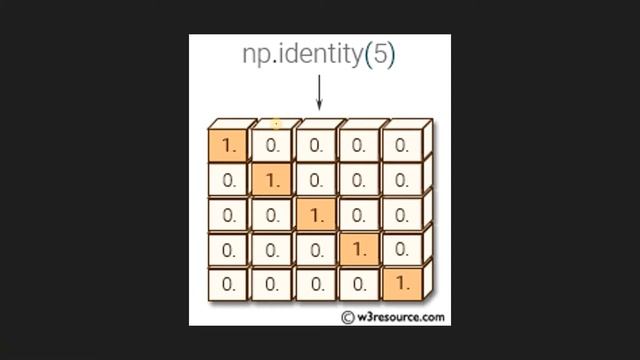 IDENTITY FUNCTION | PYTHON NUMPY TUTORIAL смотреть онлайн