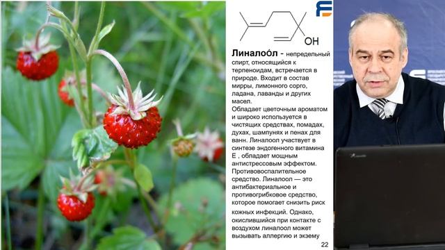 Лекция "Чем пахнет Земляника" смотреть онлайн