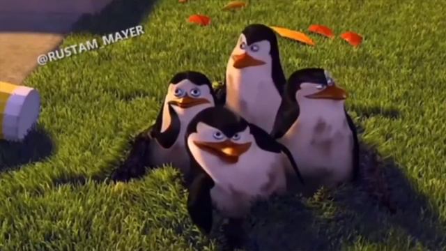 ДЖАВИД - МАЧАГАСКАР смотреть онлайн