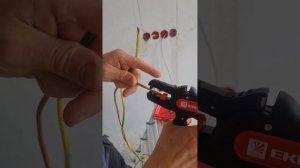 EKF ws 22  стриппер