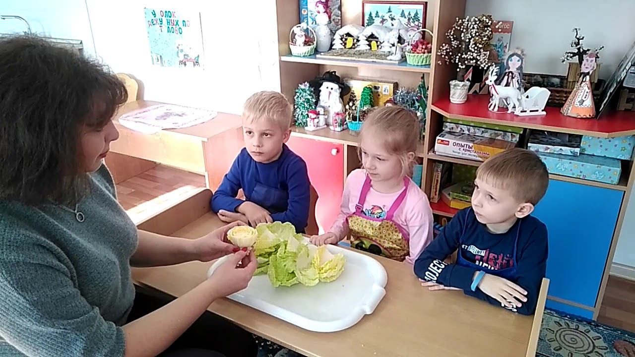 Экологический проект с детьми старшей группы смотреть онлайн