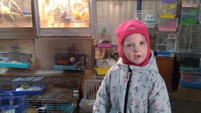 Успенский. Птичий рынок-2.mp4
