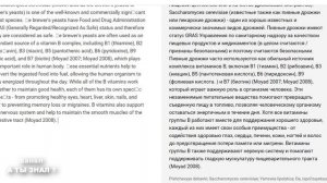 ПИВНЫЕ ДРОЖЖИ ПОЛЬЗА ИЛИ ВРЕД ?