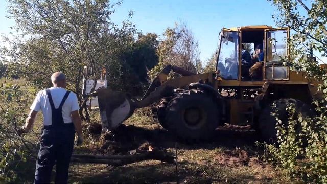 Корчевание деревьев на участке смотреть онлайн
