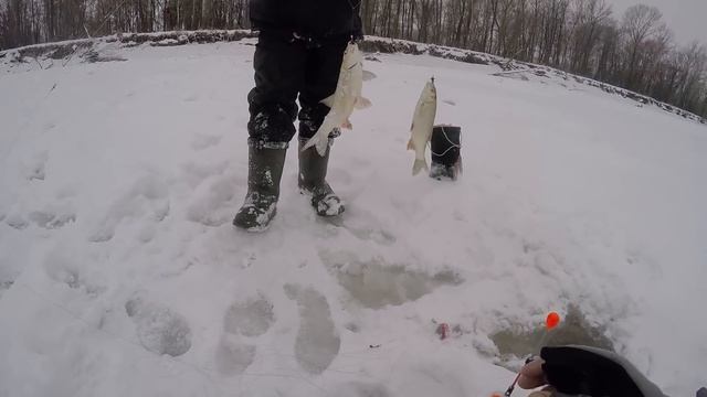 БЕШЕНЫЙ КЛЕВ В МЕТЕЛЬ! ПОПАЛИ НА ЖОР! Вот это рыбалка!!! смотреть онлайн