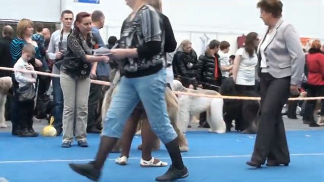 Класс юниоров смотреть онлайн