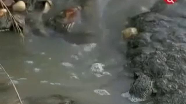 Моющие средства Почему Эмвей смотреть онлайн