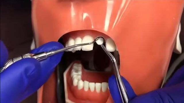 SOLUCION HEMOSTATICA FRENNA - BIOTECH CHILE смотреть онлайн