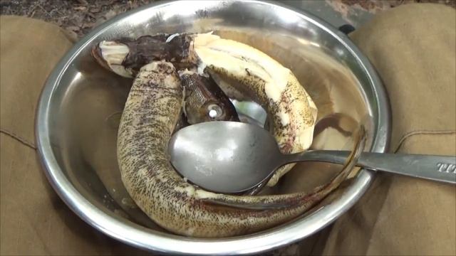 Новые приключения на старом месте - ч3 из 4. Удачная рыбалка. смотреть онлайн