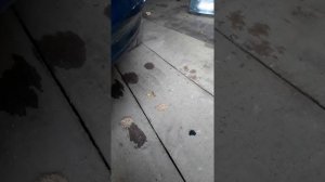 Установка противотуманок на тойоту карину часть 2