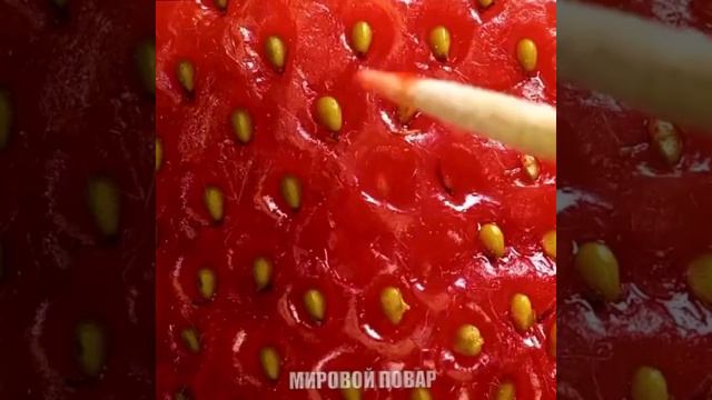 Как прорастить семена. МИРОВОЙ ПОВАР. смотреть онлайн