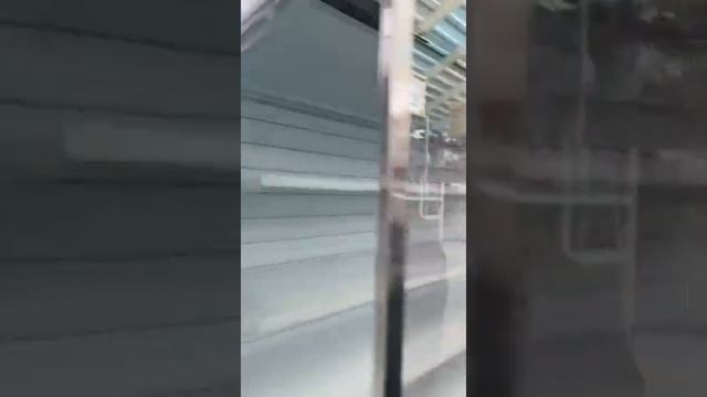 ГОРКА ХОЛОДИЛЬНАЯ ВИТРИНА СРЕДНЕТЕМПЕРАТУРНАЯ ВАРШАВА ВХСп 2,5 смотреть онлайн