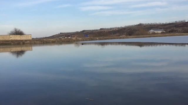 Flaytec с эхолотом FishFinder на озере.Где стоит рыба? смотреть онлайн