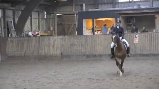 Henriette og Lindbergs Milton LB1 67,50% смотреть онлайн