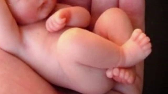 Николай Берлинский_ Нерожденный Малыш смотреть онлайн