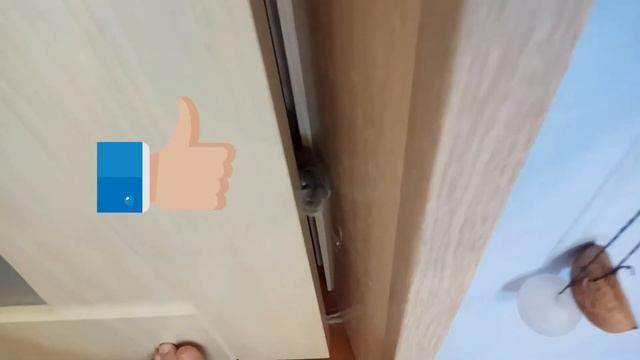 ШОТЛАНДСКИЙ ВИСЛОУХИЙ КОТ ПЫТАЕТСЯ ПРОЛЕЗТЬ ЧЕРЕЗ ЩЕЛЬ ДВЕРЬ (ОЗВУЧКА)? смотреть онлайн