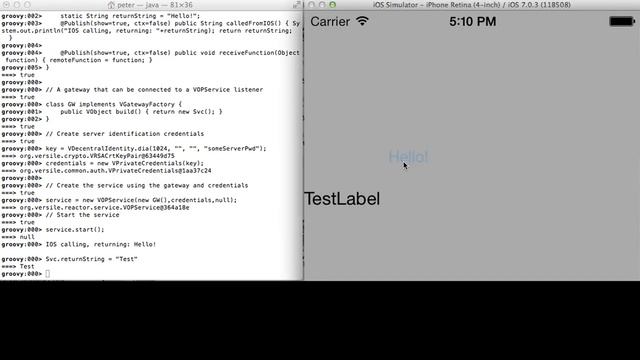 IOS Java App (RoboVM) communicating with server (Versile) смотреть онлайн
