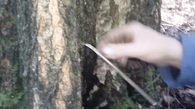 Праздничные декорации из природных материалов