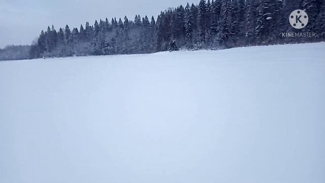 Лесное озеро, щуки-крокодилы смотреть онлайн